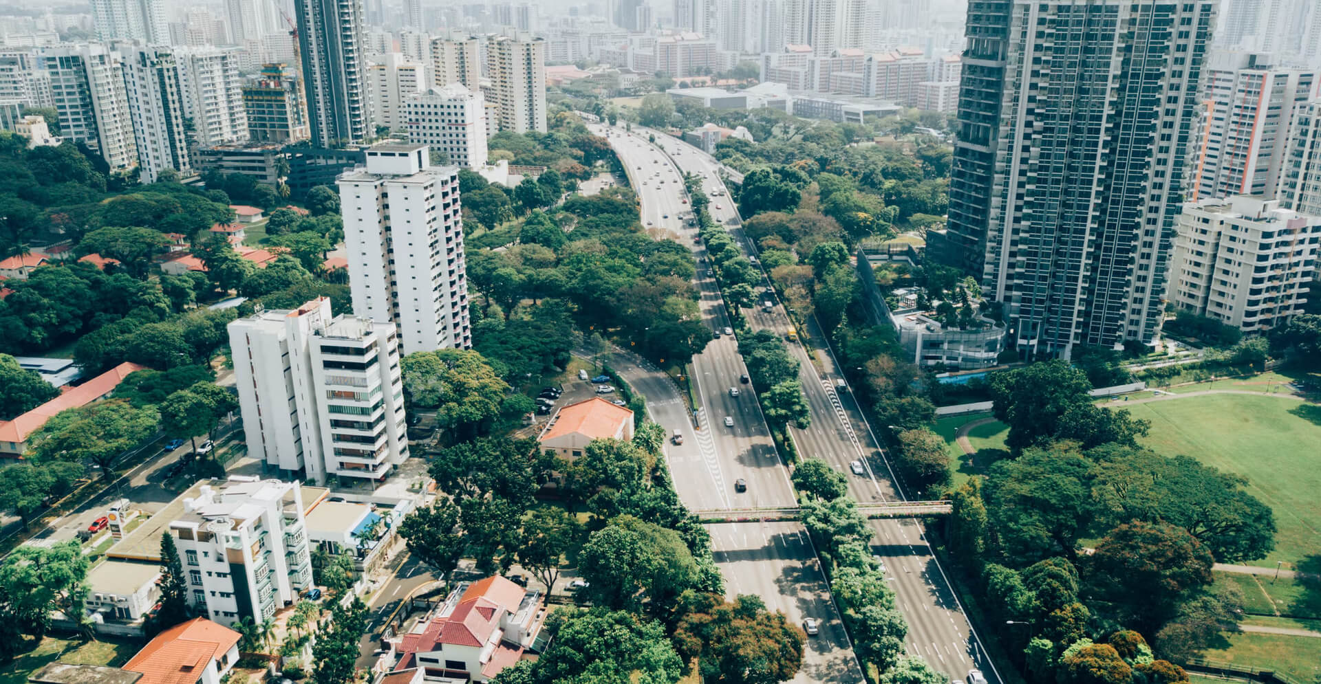 Career Guidance Background